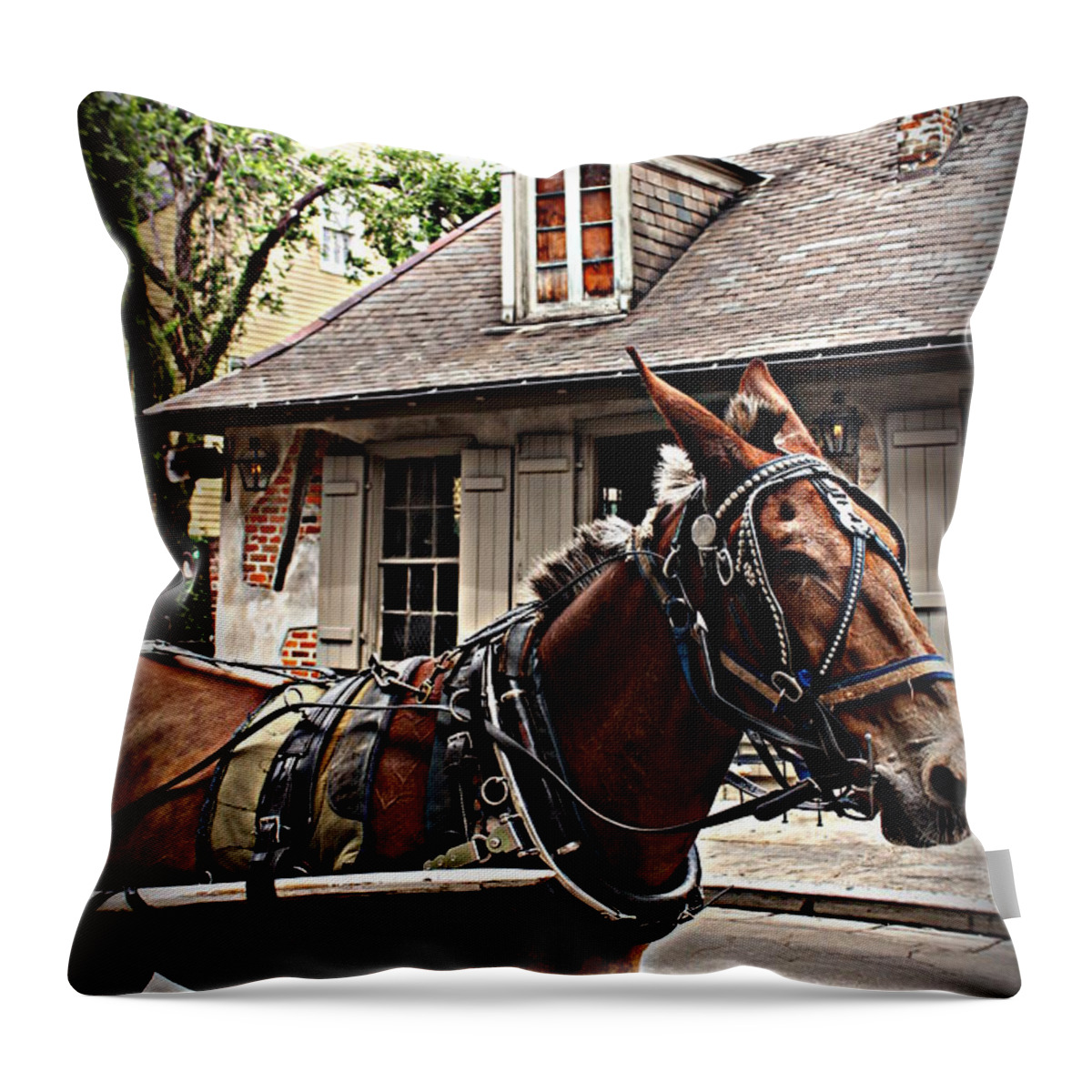Carriage Ride Throw Pillow featuring the photograph Carriage Ride by Beth Vincent