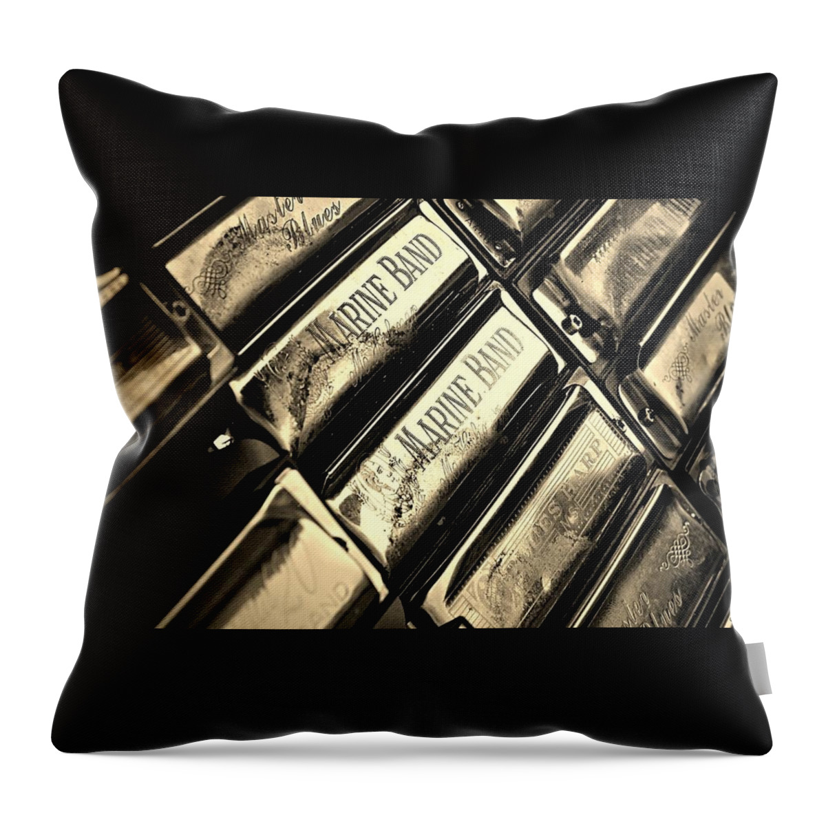 Music Throw Pillow featuring the photograph Case of Harmonicas by Chris Berry