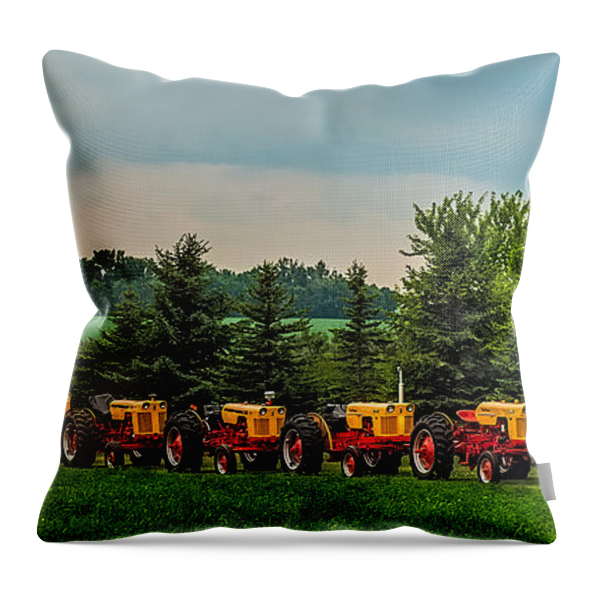 Case Throw Pillow featuring the photograph Case Train by Paul Freidlund