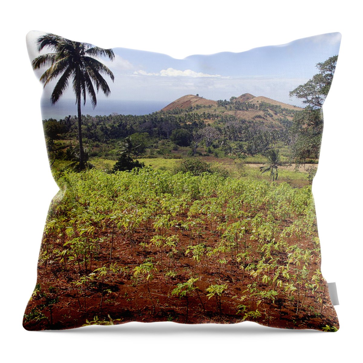 Cassava Throw Pillow featuring the photograph Cassava Crop by M. Watson