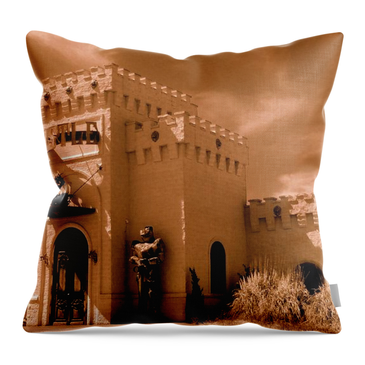 Castle Throw Pillow featuring the photograph Castle By The Road by Rodney Lee Williams