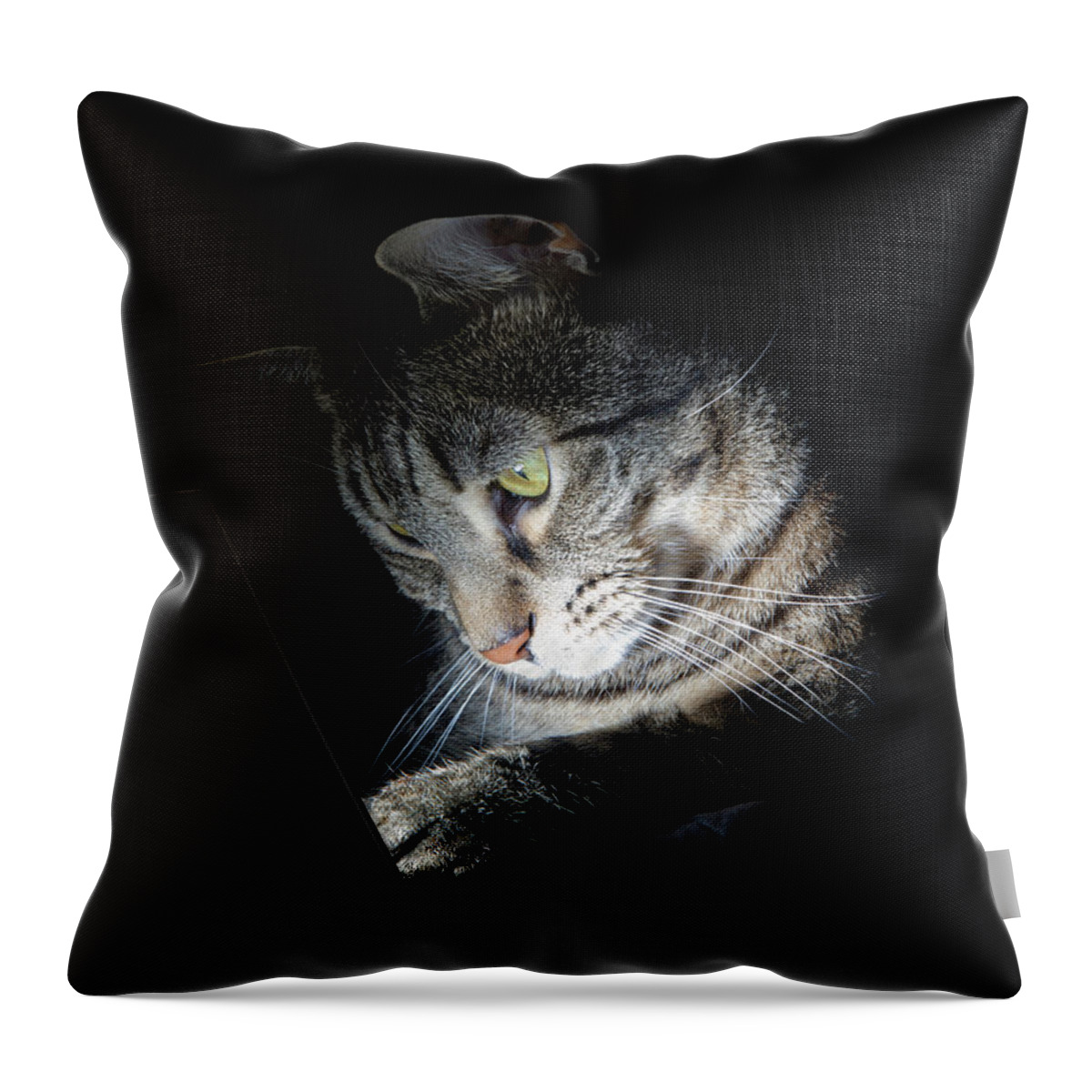 Pets Throw Pillow featuring the photograph Cat Concentrating Using Table Computer by Michael Duva