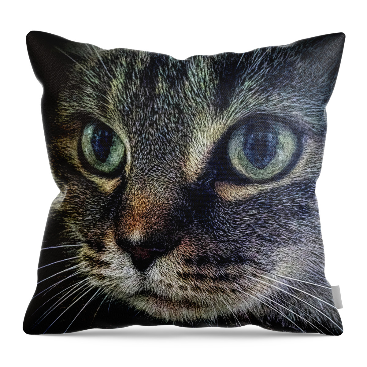 Cat Throw Pillow featuring the photograph Cat Eyes by Donna Proctor