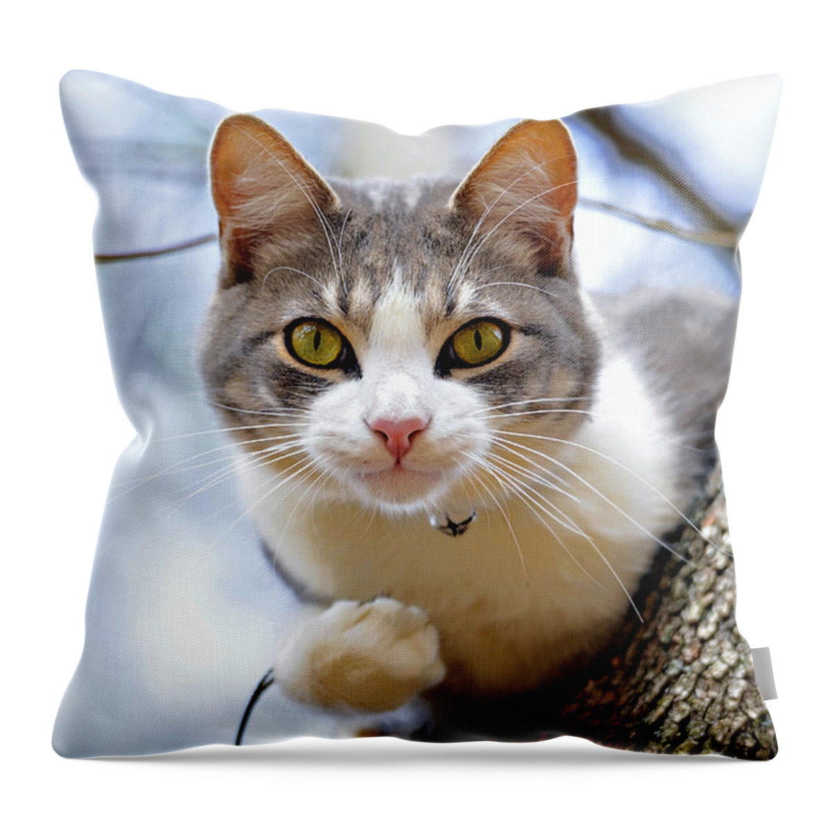 Cat Throw Pillow featuring the photograph Cat in a Tree by Susan Leggett