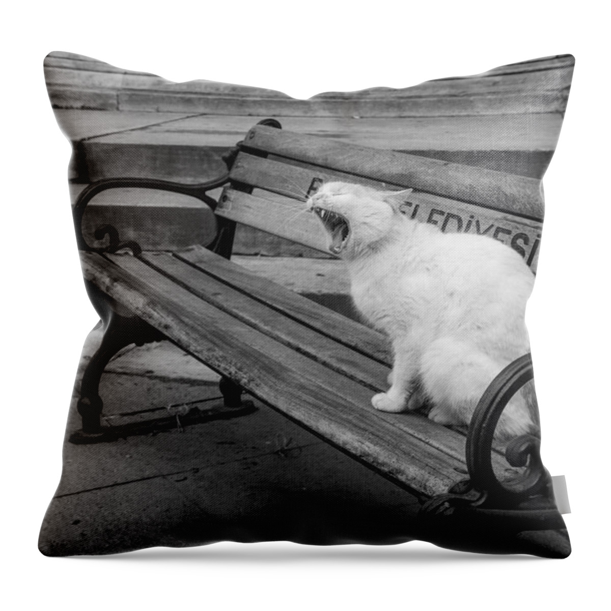 Cat Throw Pillow featuring the photograph Cat on a bench by Shirley Radabaugh