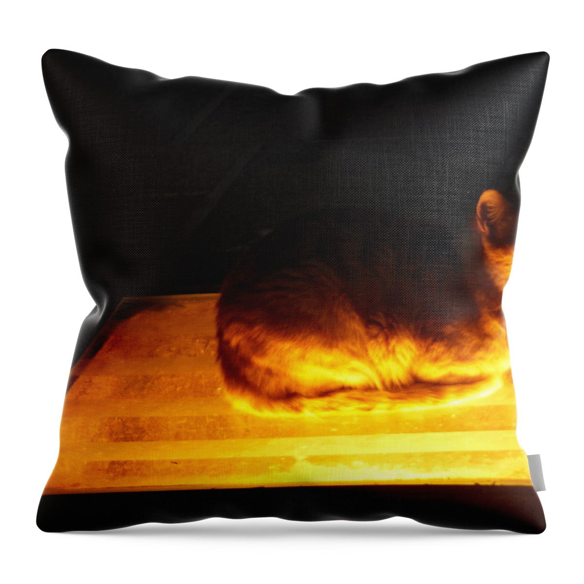 Cat On A Hot Tin Roof Throw Pillow featuring the photograph Cat on a Hot Tin Roof by Esther Newman-Cohen