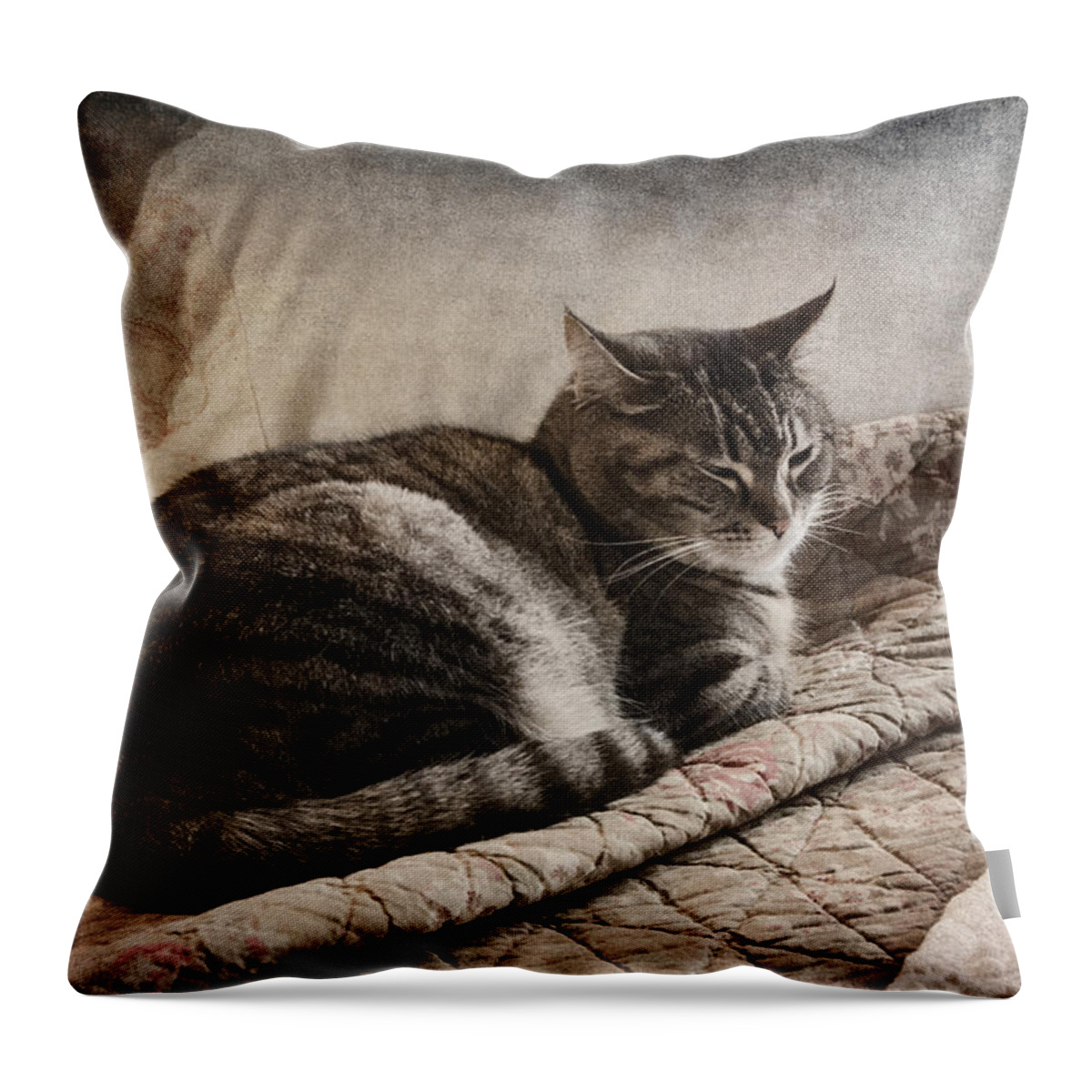 Cat Throw Pillow featuring the photograph Cat on the Bed by Carol Leigh