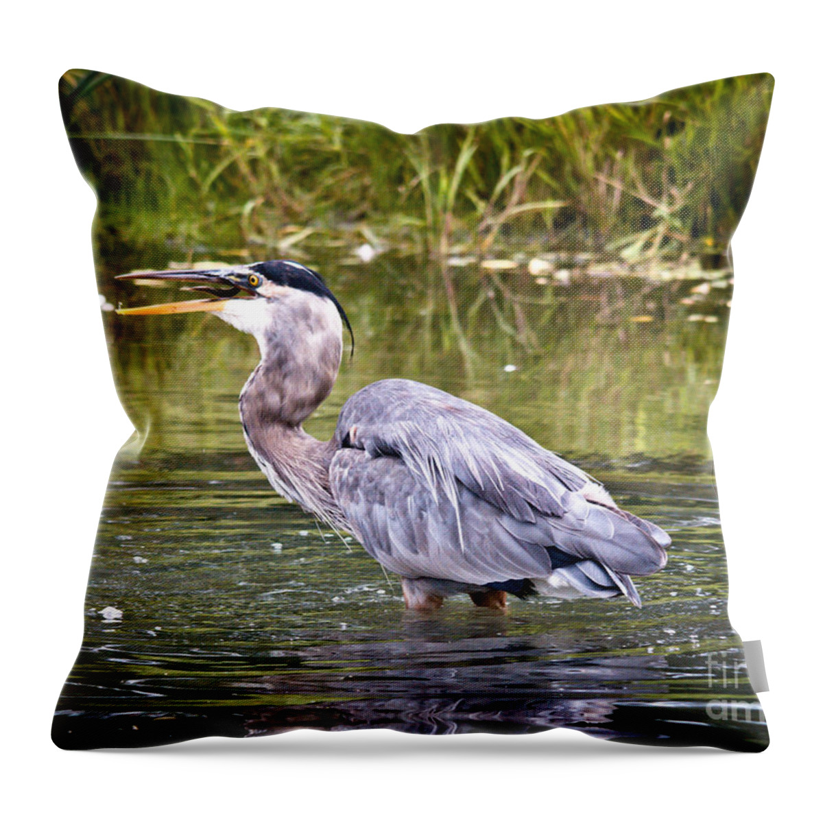  Throw Pillow featuring the photograph Catching Fish by Cheryl Baxter