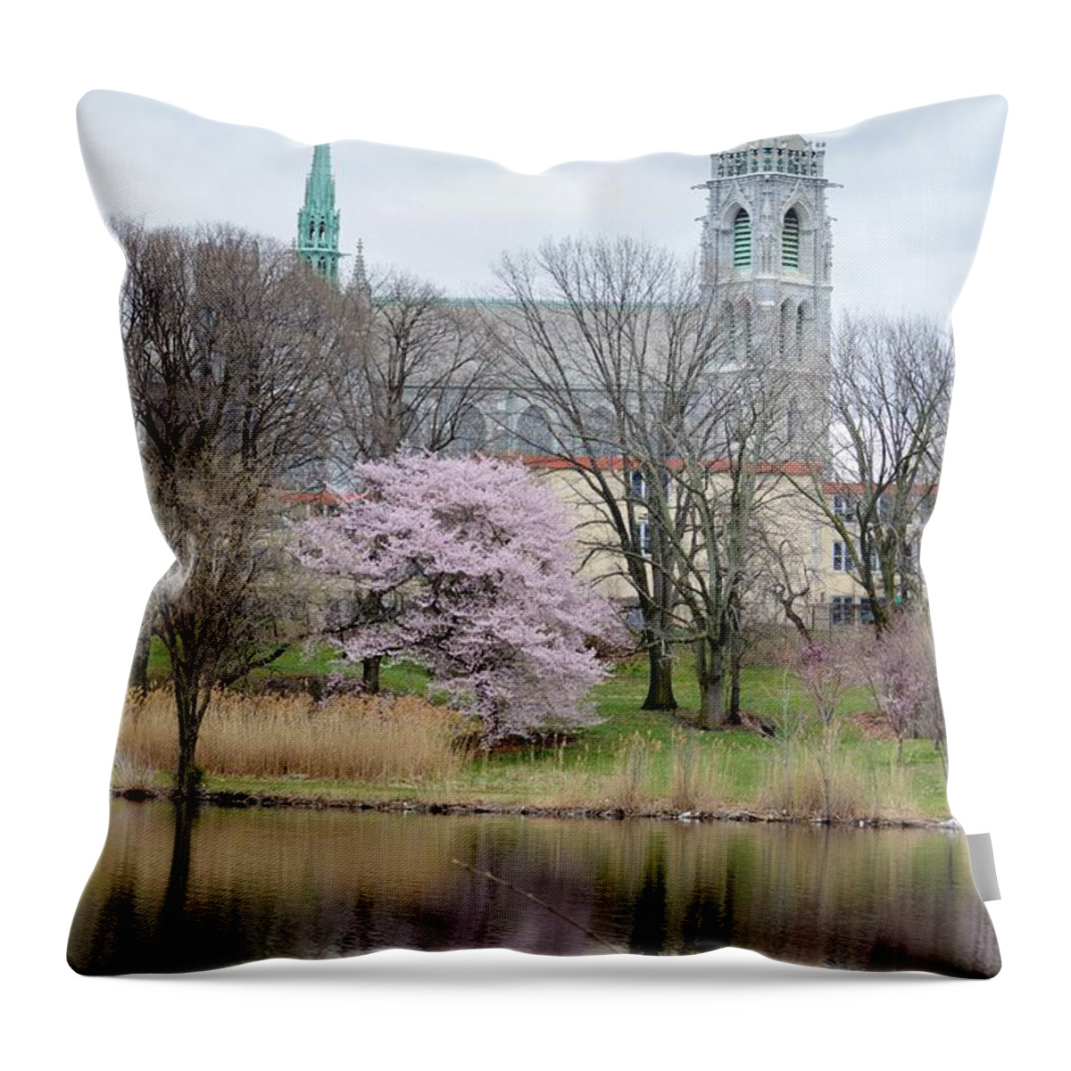 French Gothic Style Throw Pillow featuring the photograph Cathedral Basilica by Sonali Gangane