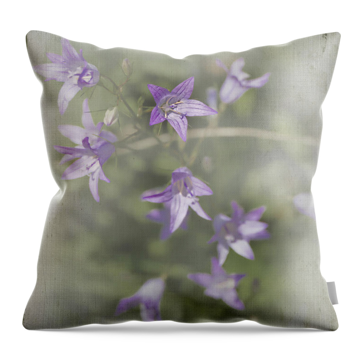 Flower Throw Pillow featuring the photograph Dainty Purple Flowers by Elaine Teague