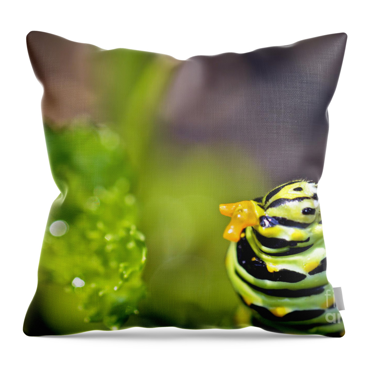 Caterpillar Throw Pillow featuring the photograph Catterpillar at work by PatriZio M Busnel