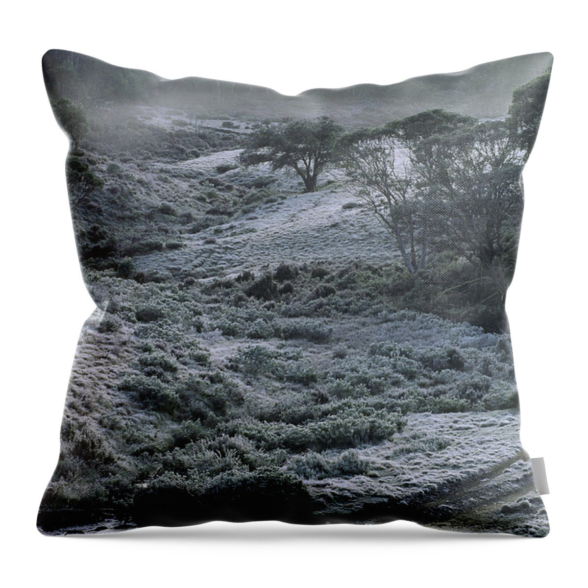 Cattleman Throw Pillow featuring the photograph Cattleman With Horse by Jean-Marc La-Roque