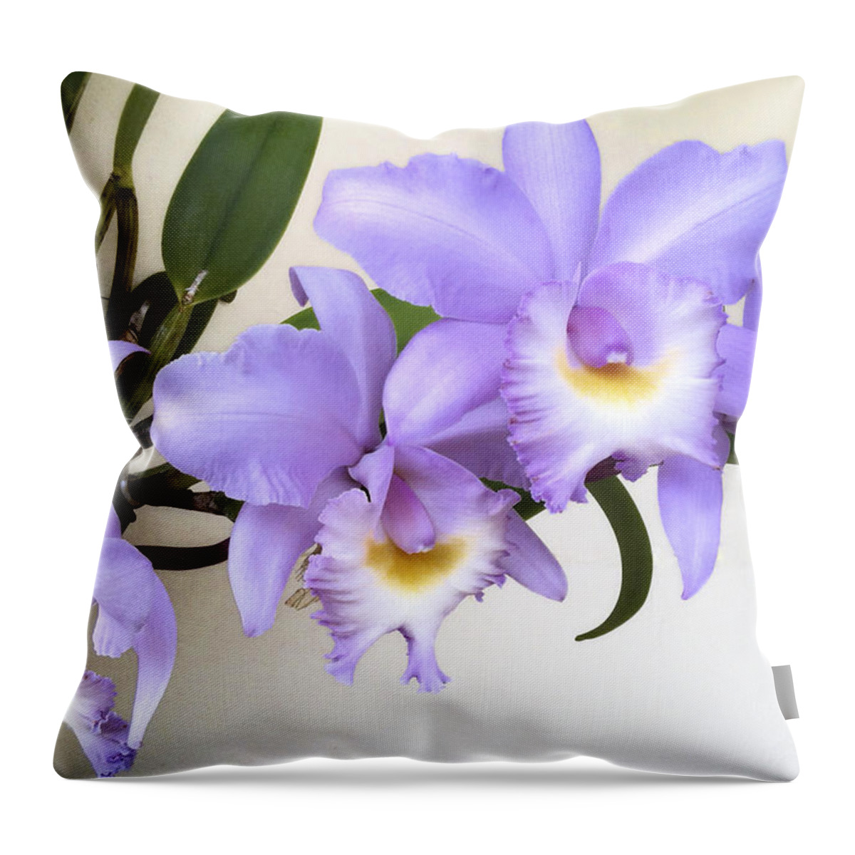 Orchid Throw Pillow featuring the photograph Cattleya Orchid by Bradford Martin