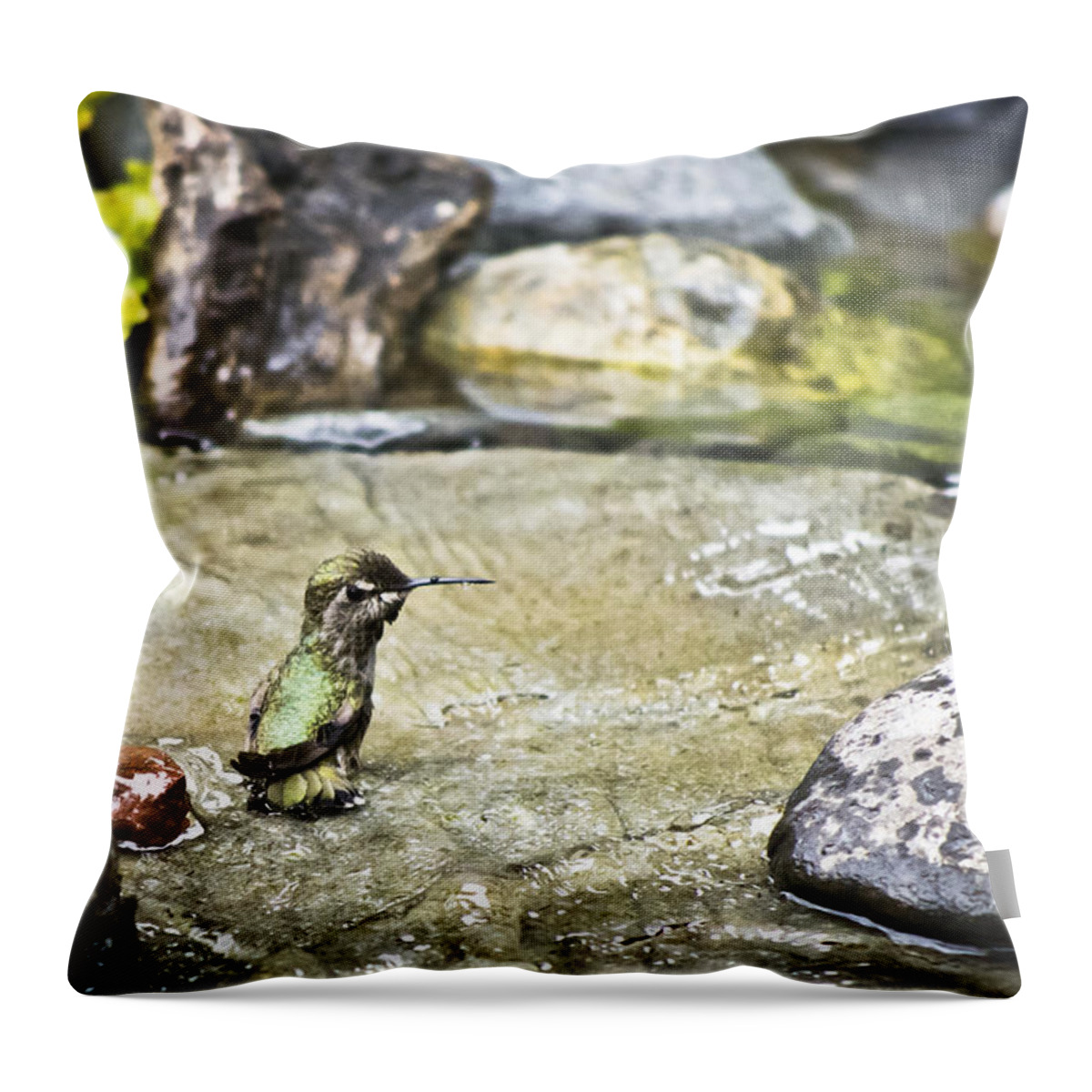 Hummingbird Throw Pillow featuring the photograph Caught In The Act by Priya Ghose
