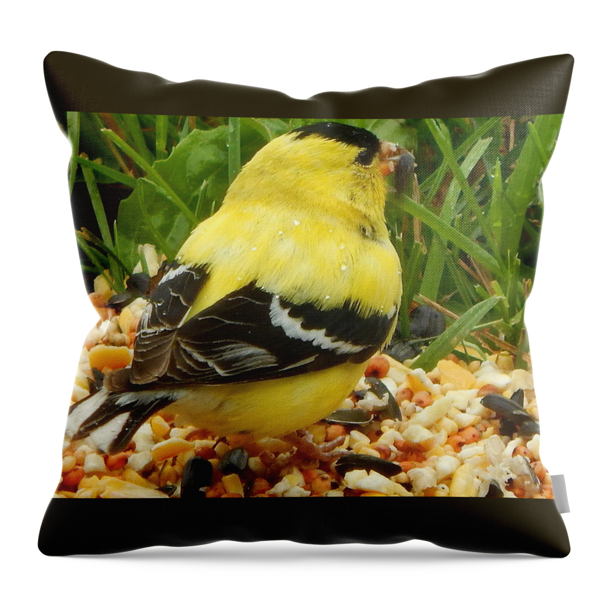 Yellow Finch Throw Pillow featuring the photograph Caught in the Rain by Kimberly Woyak