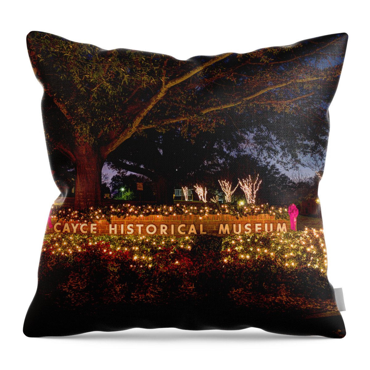 Cayce Throw Pillow featuring the photograph Cayce Historical Museum Entrance by Charles Hite
