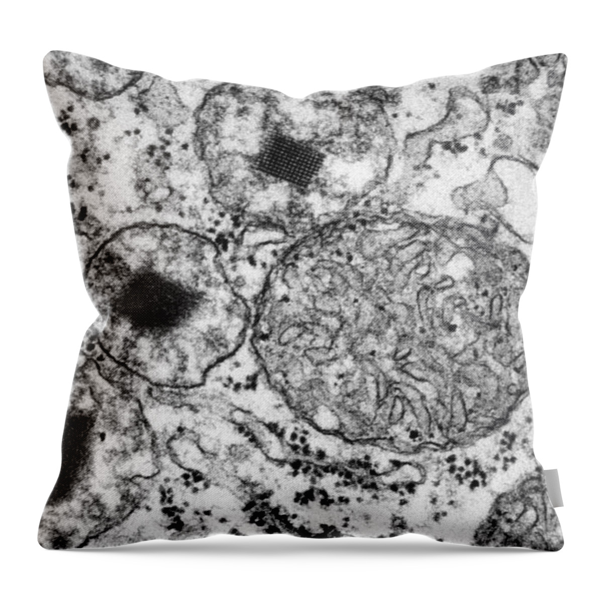 Science Throw Pillow featuring the photograph Cell With Organelles, Tem by Biology Pics