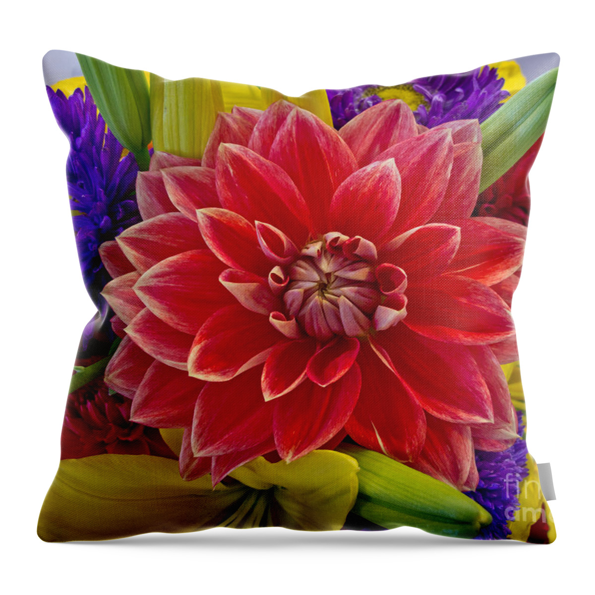 Dahlia Throw Pillow featuring the photograph Center Of Attention by Arlene Carmel