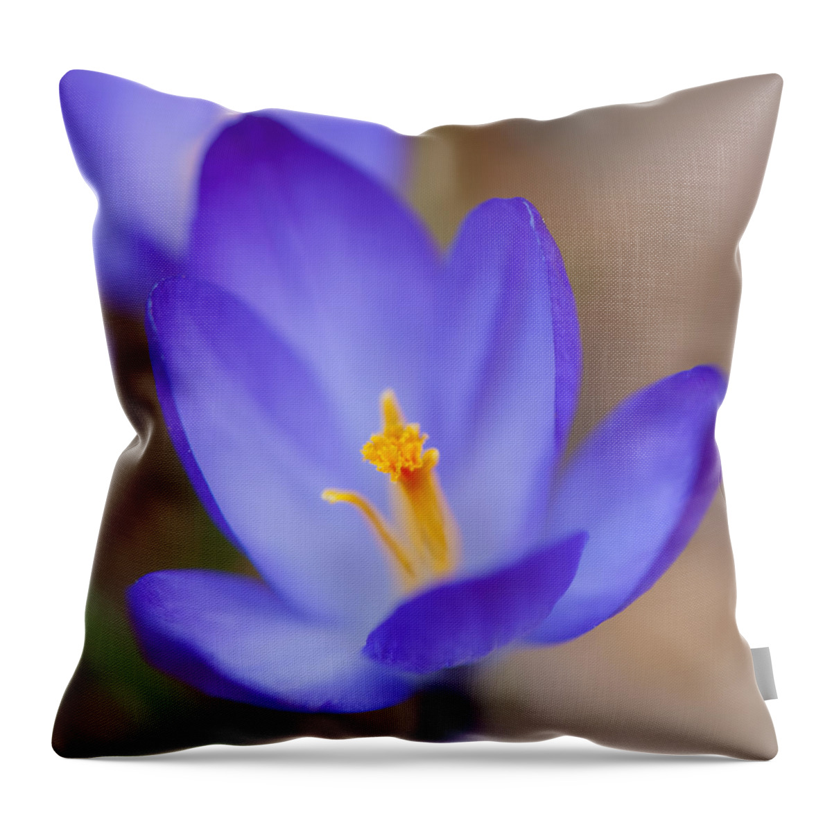 Crocus Throw Pillow featuring the photograph Center Of Attention by Jean-Pierre Ducondi