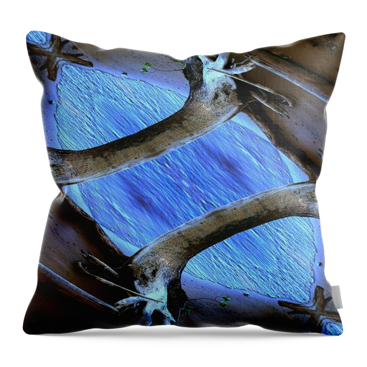 Blue Water Throw Pillow featuring the photograph Center of Attraction by Randy Pollard