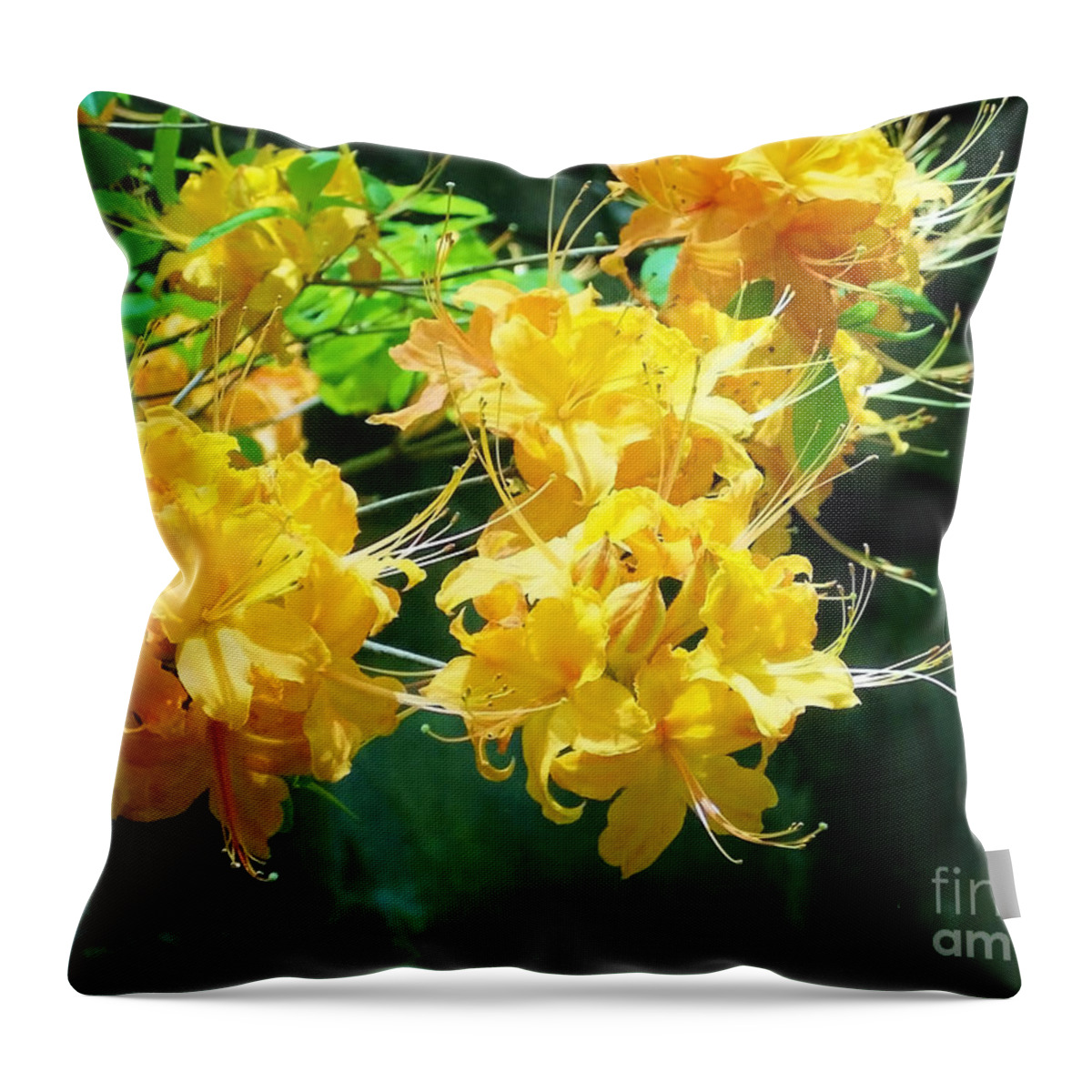 Centered Throw Pillow featuring the photograph Centered Yellow Floral by Roberta Byram