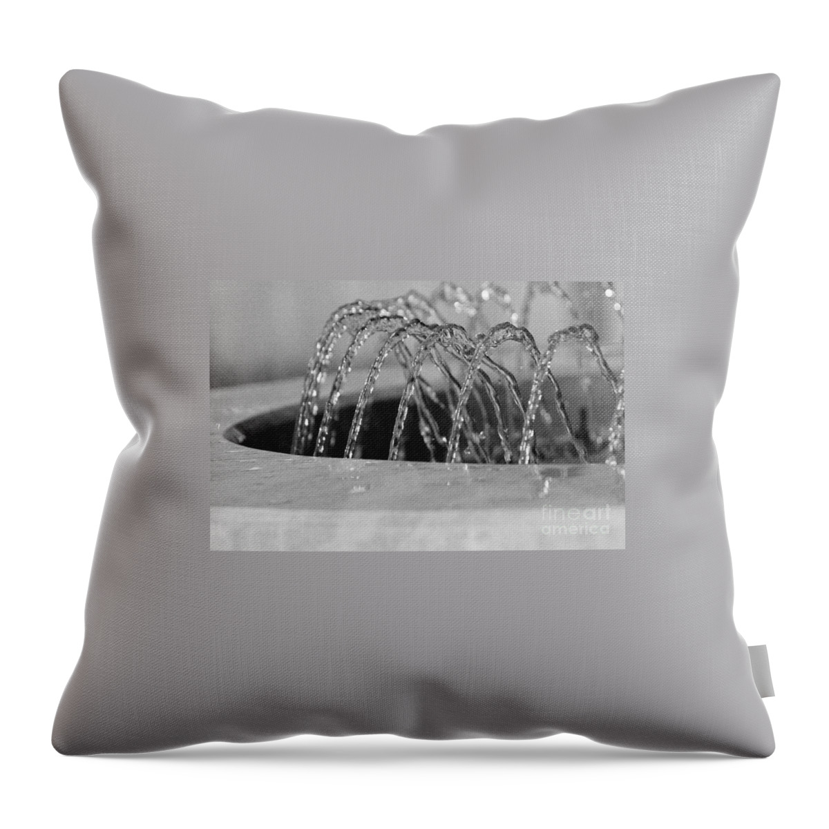 Water Throw Pillow featuring the photograph Centipede by Eileen Gayle