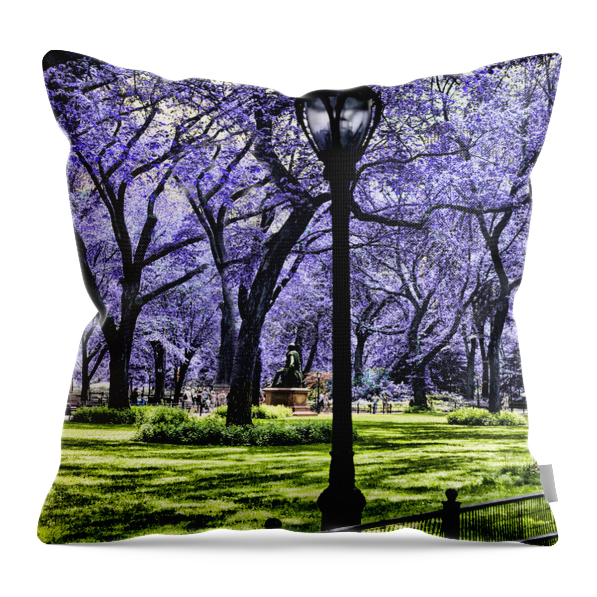 Evie Throw Pillow featuring the photograph Central Park in the Spring by Evie Carrier