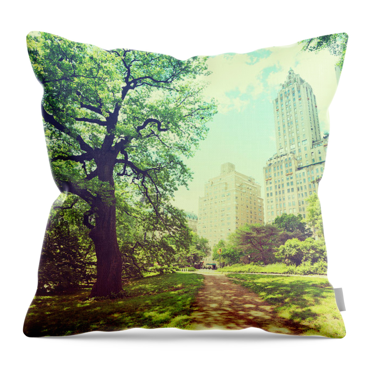 Central Park Throw Pillow featuring the photograph Central Park New York City by Rike 