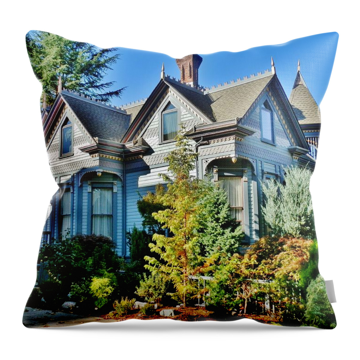 House Throw Pillow featuring the photograph C'est La Vie by VLee Watson