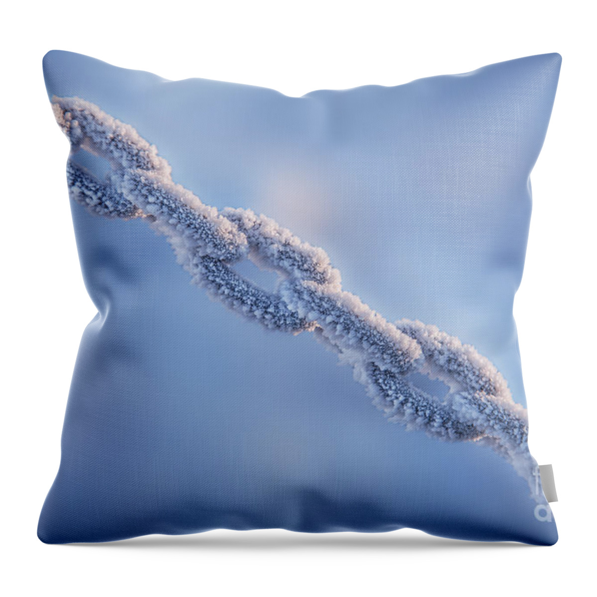 Chain Throw Pillow featuring the photograph Chain Reaction by Evelina Kremsdorf