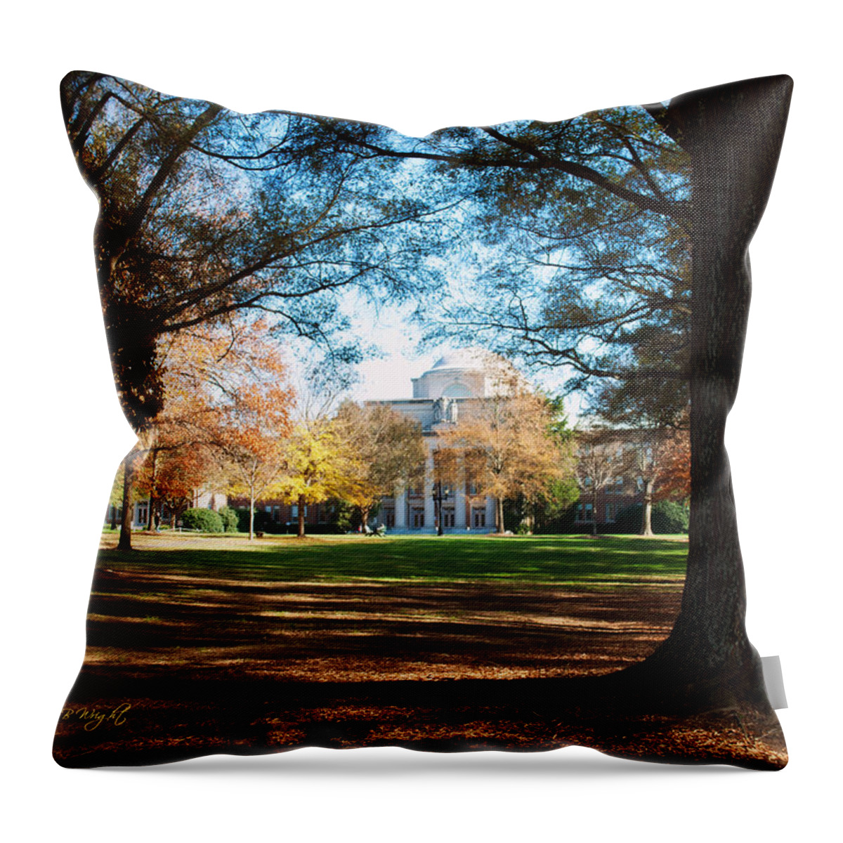 Art Throw Pillow featuring the photograph Chambers Building - Davidson College by Paulette B Wright