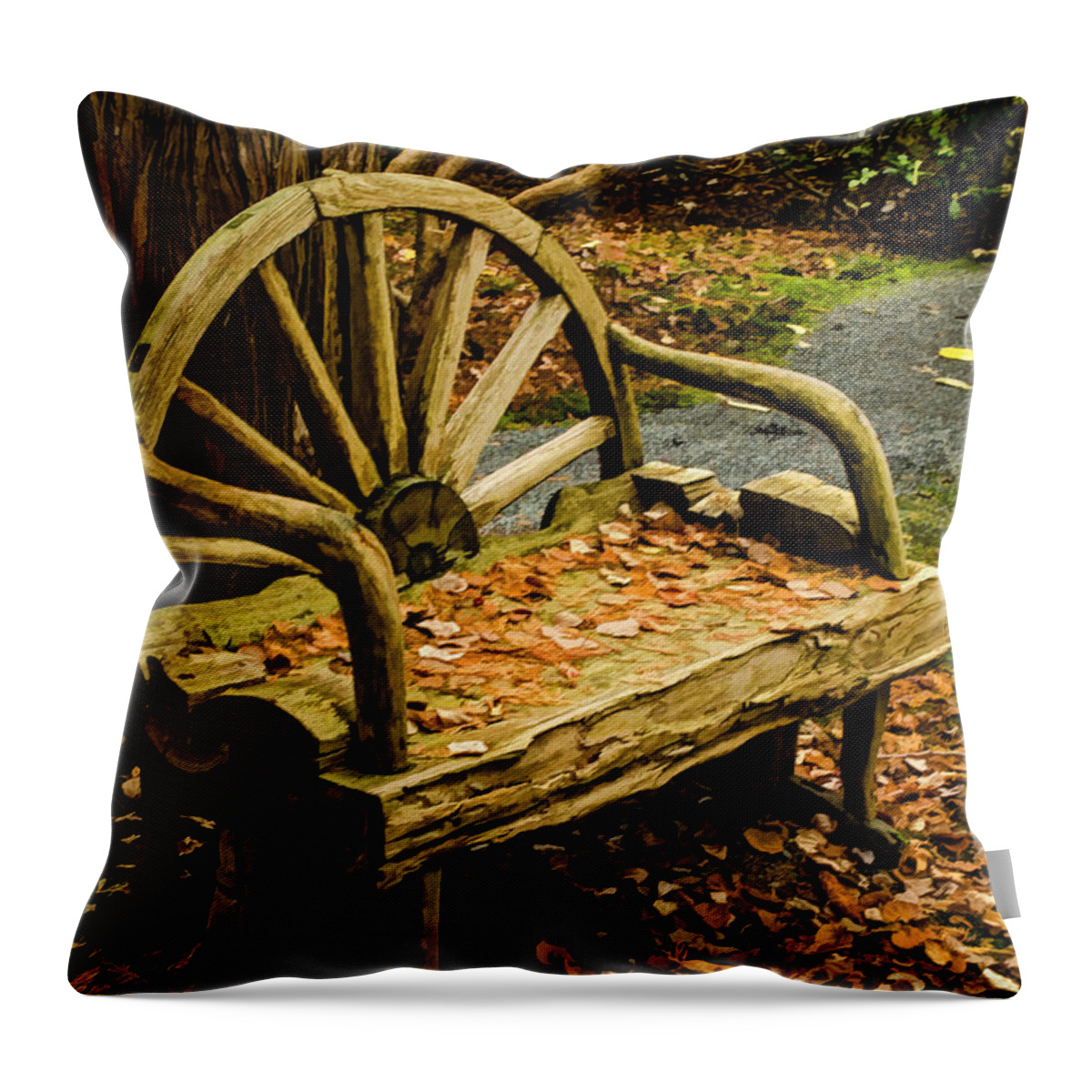 Bench Throw Pillow featuring the photograph Changing Of The Seasons by Jordan Blackstone