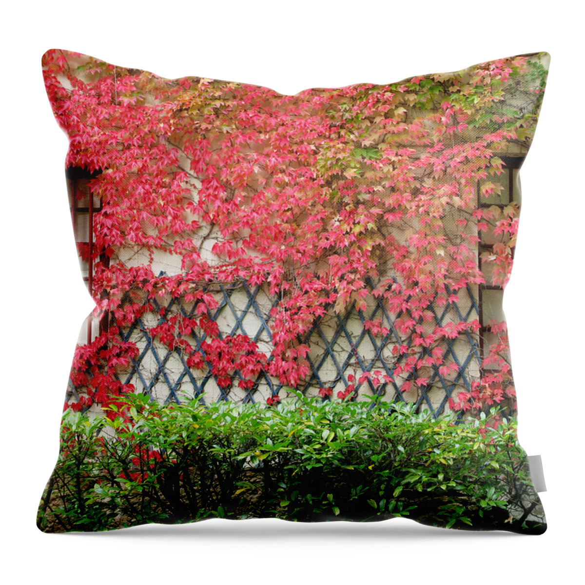 Fall Leaves Throw Pillow featuring the photograph Chateau Chenonceau Vines on Wall Image One by Randi Kuhne