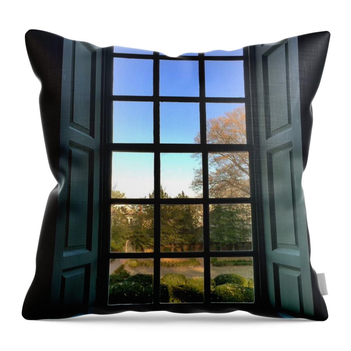 Window Throw Pillow featuring the photograph Kenmore House by Pat Moore