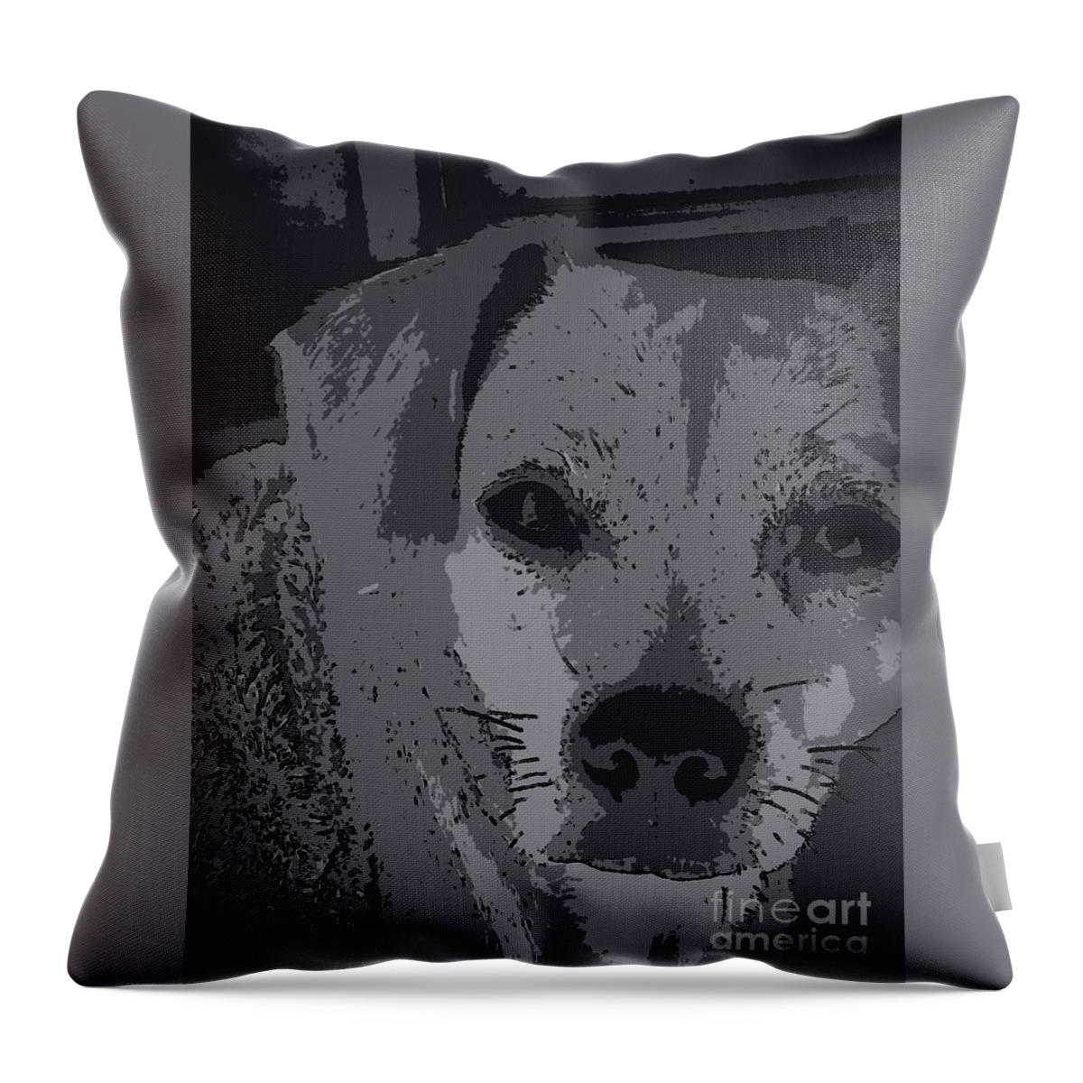 Cheagle Eyes Throw Pillow featuring the photograph ChEagLe EyE'S by Angela J Wright