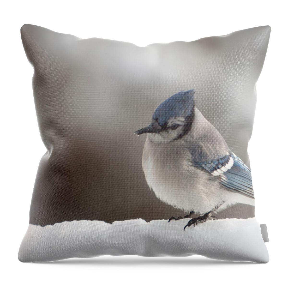 Salem Throw Pillow featuring the photograph Checking for missed seeds by Jeff Folger