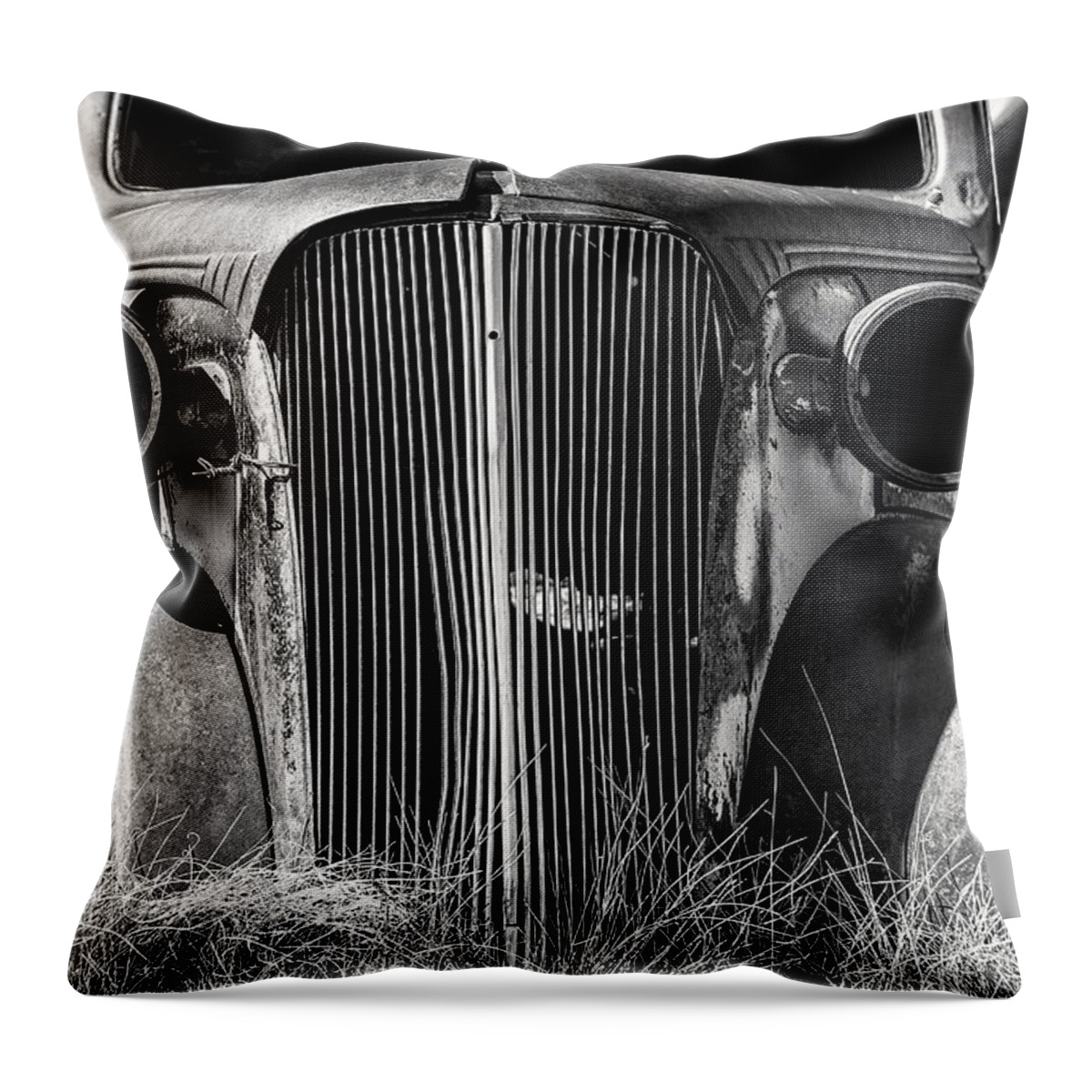 395 Throw Pillow featuring the photograph Cheeky by Denise Dube by Denise Dube