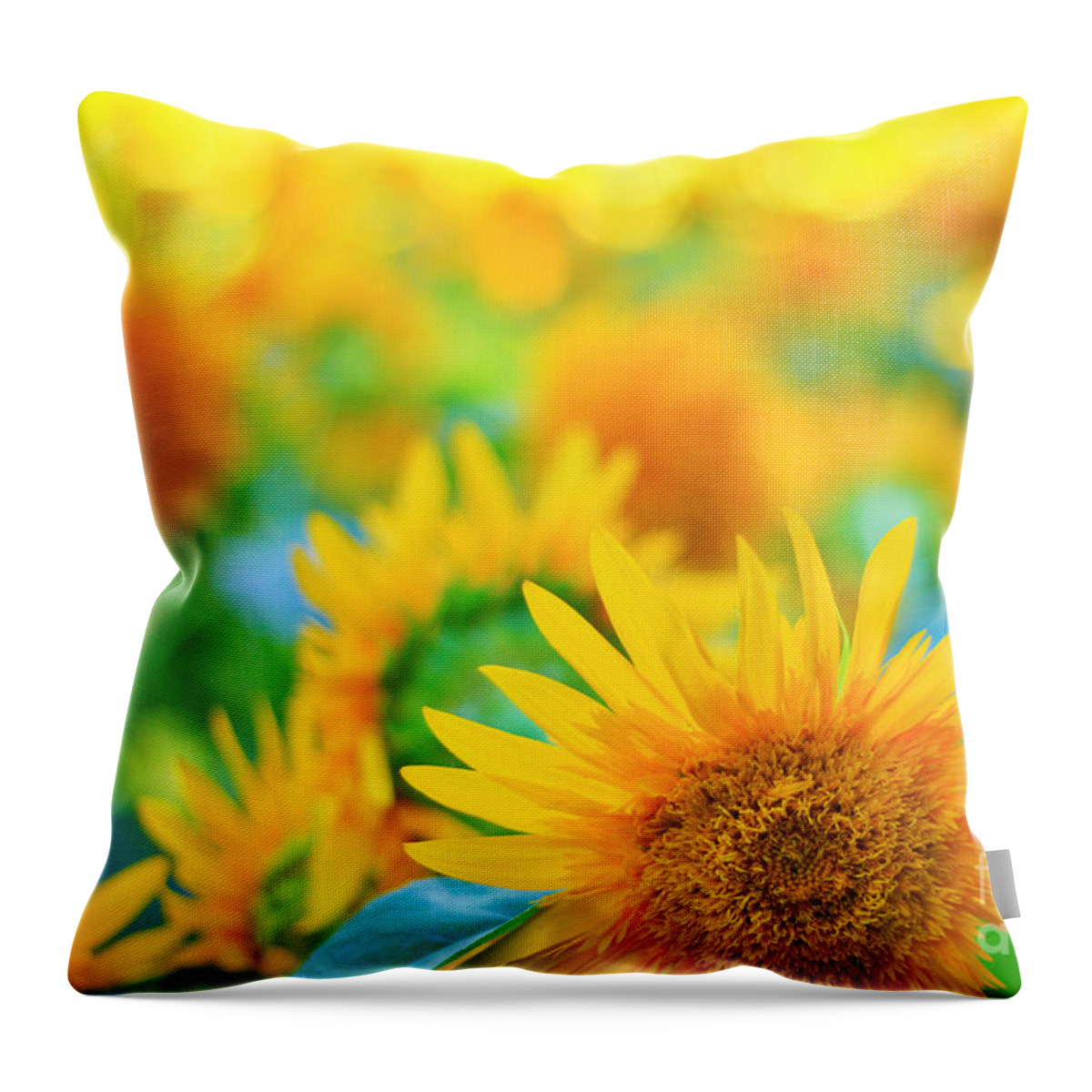 Sunflower Throw Pillow featuring the photograph Cheerful and Happy Yellow Sunflower Field in Summer by Beverly Claire Kaiya