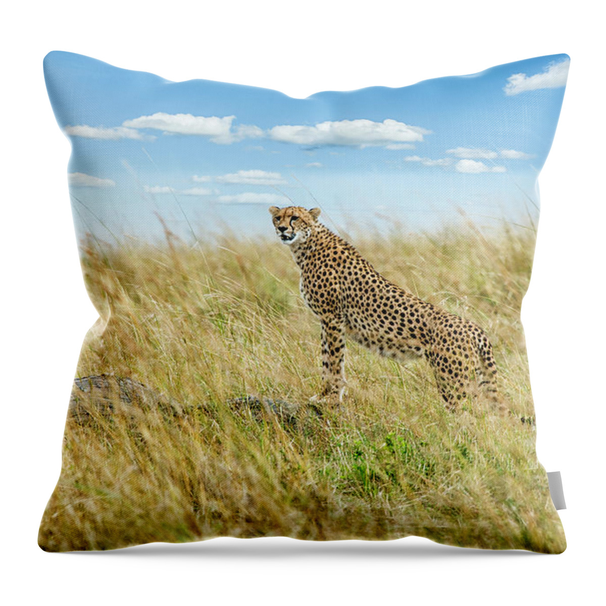 Scenics Throw Pillow featuring the photograph Cheetah In Savannah Grassland by Mike Hill