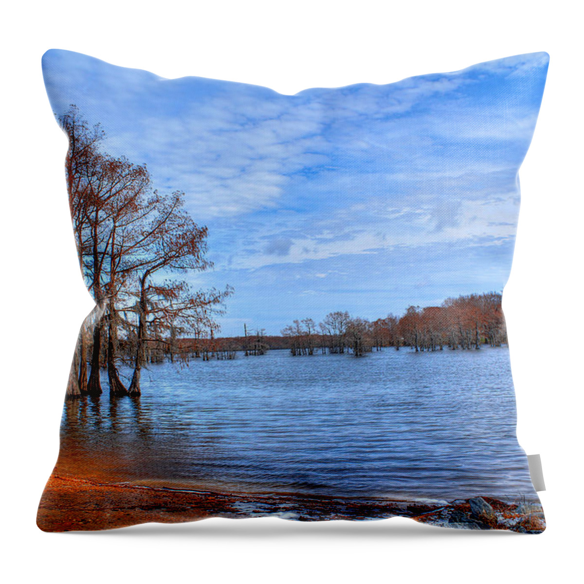 Bayou Throw Pillow featuring the photograph Cheniere Lake Waterscape by Ester McGuire