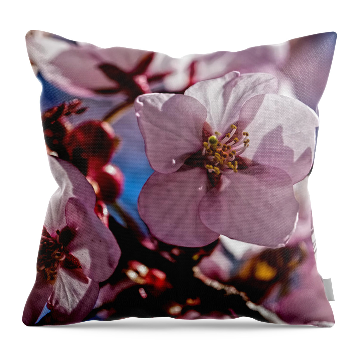 Enk�ping Throw Pillow featuring the photograph Cherry blossom by Leif Sohlman by Leif Sohlman