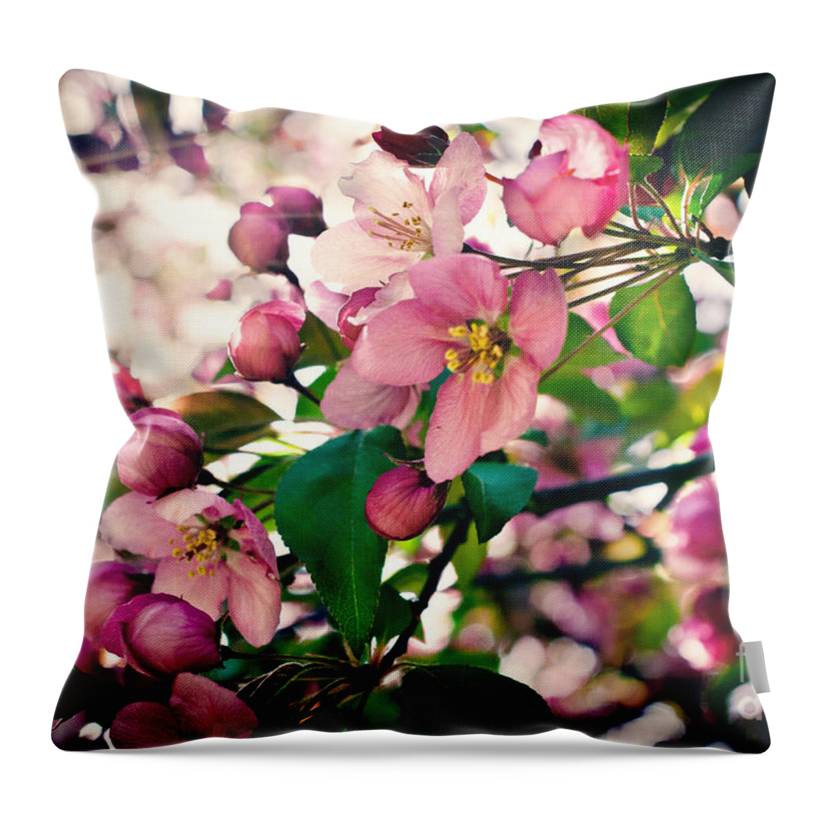 Cherry Blossom Throw Pillow featuring the photograph Cherry Blossom by Gwen Gibson