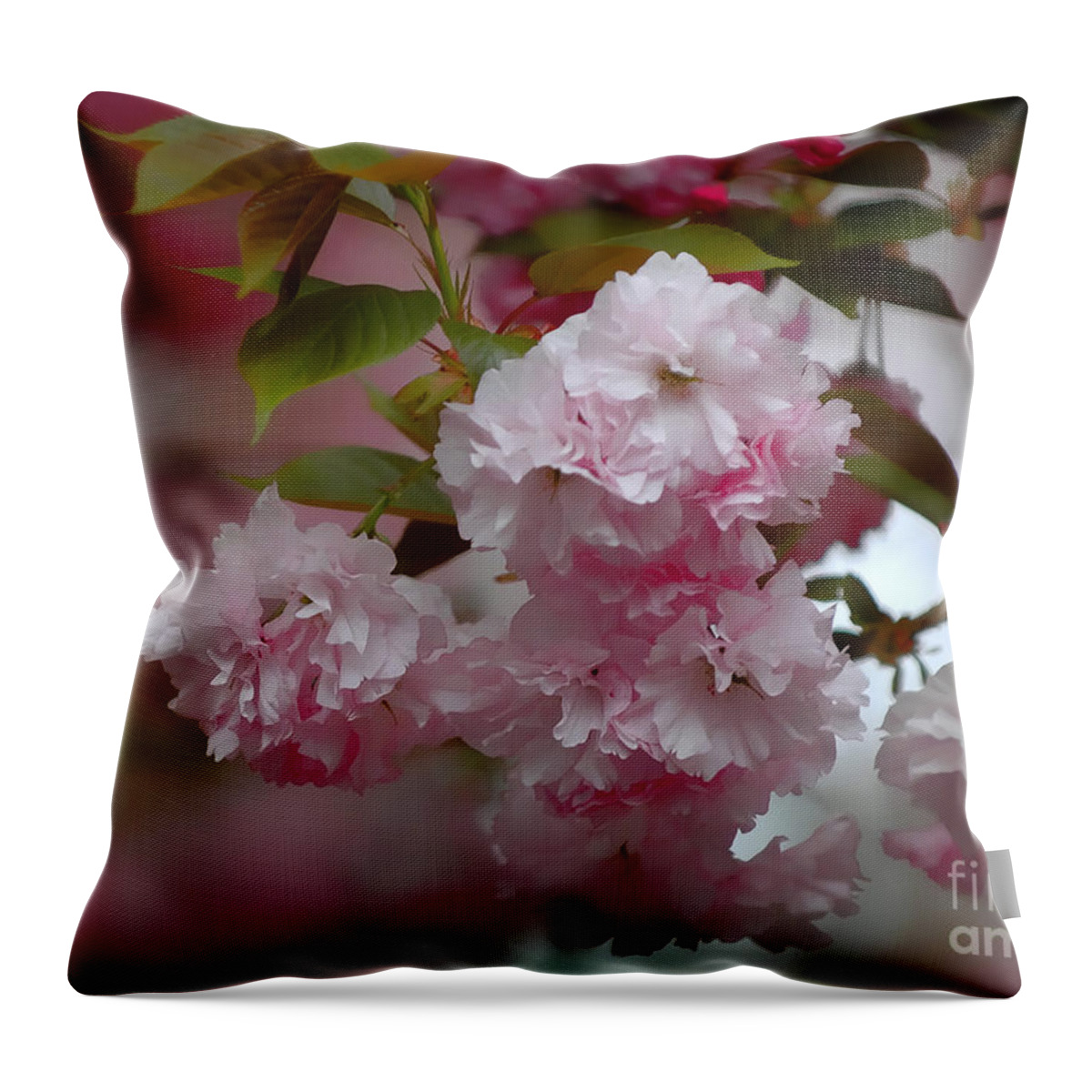 Landscape Throw Pillow featuring the photograph Cherry blossom by Sami Martin