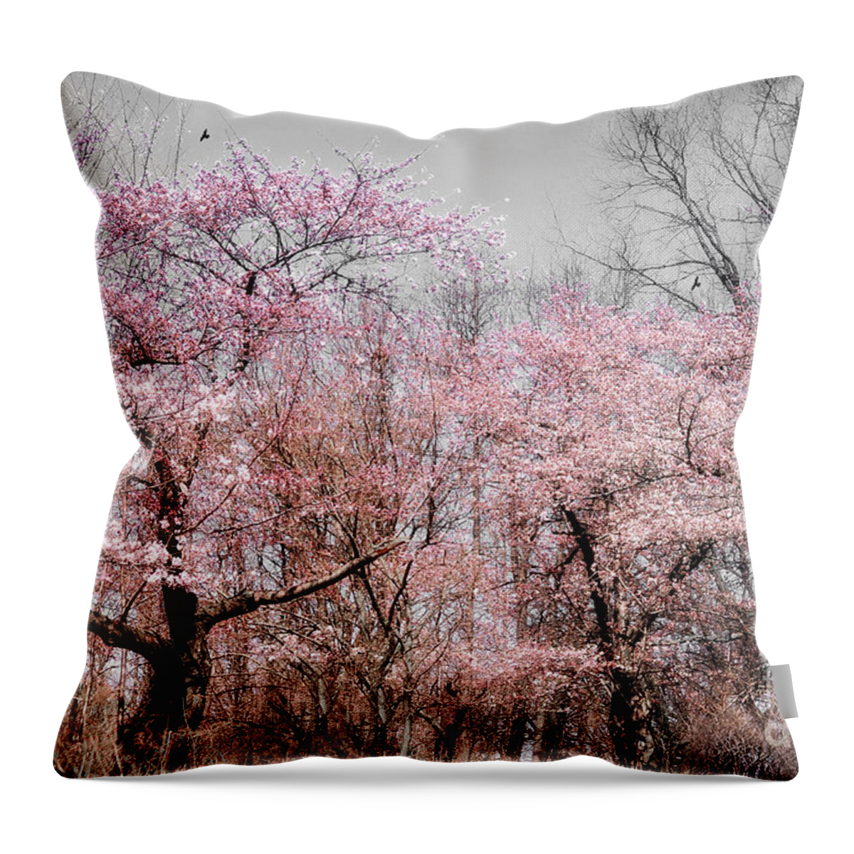 Spring Throw Pillow featuring the photograph Cherry Blossom Trees by Elaine Manley