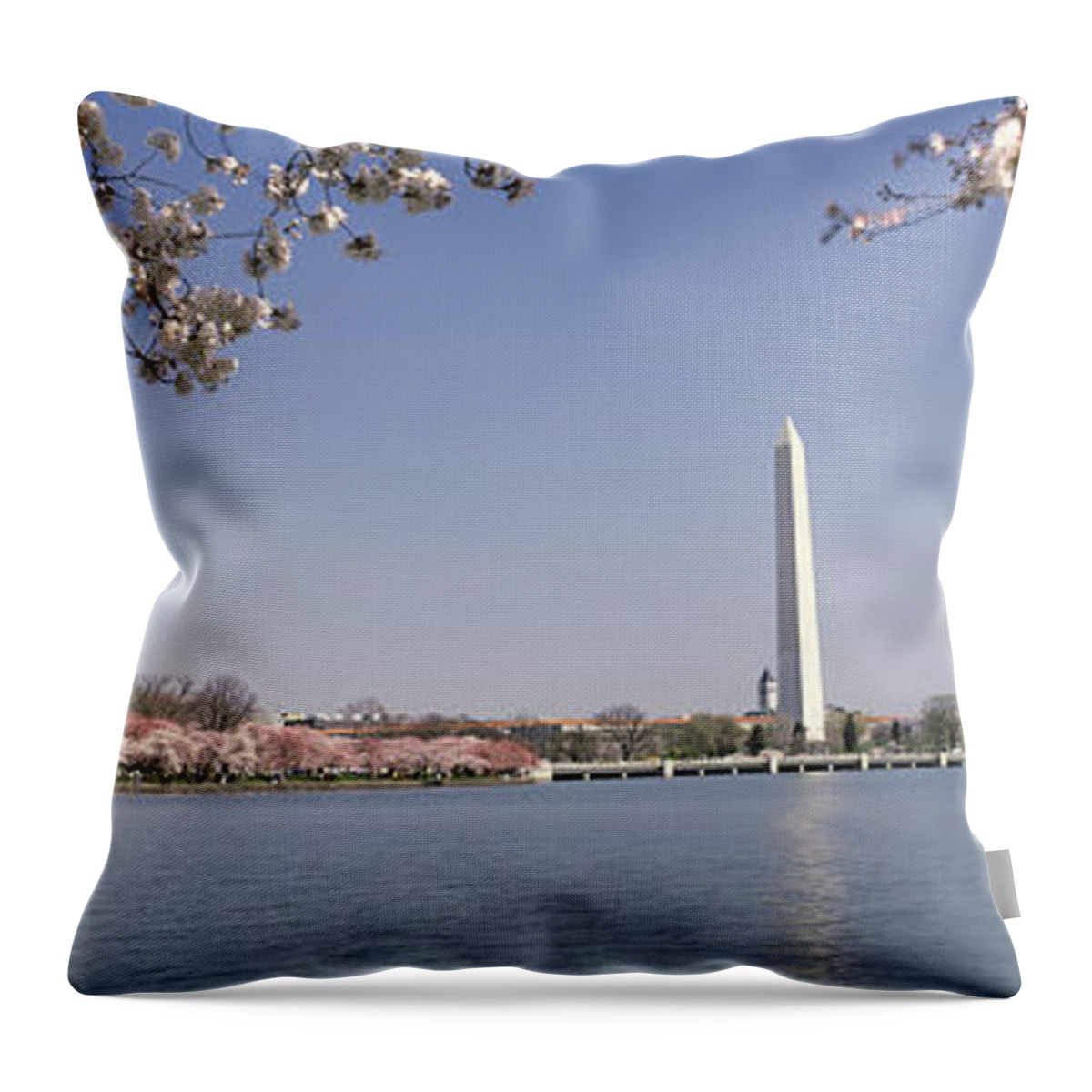 Photography Throw Pillow featuring the photograph Cherry Blossom With Monument by Panoramic Images