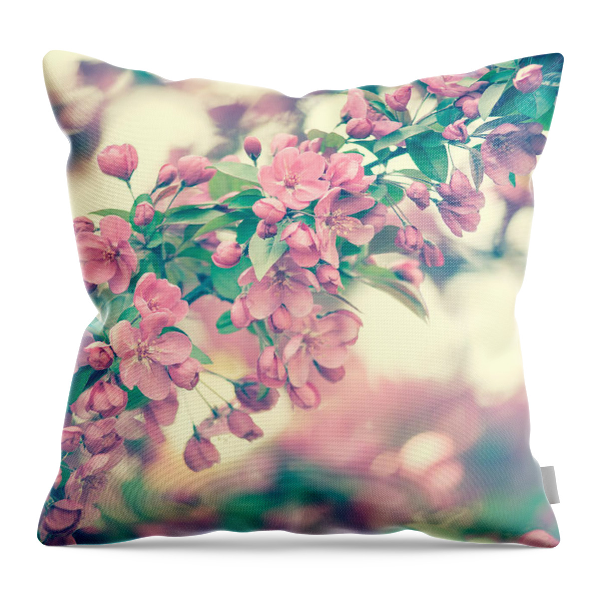 Spring Throw Pillow featuring the photograph Cherry Blossom by Zina Zinchik