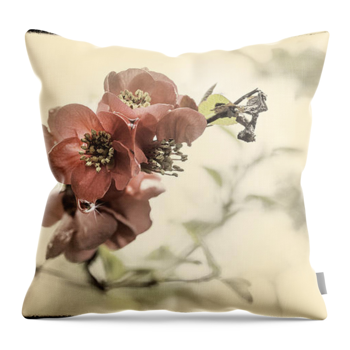 Cherry Blossom Throw Pillow featuring the photograph Cherry Blossoms by Peter V Quenter