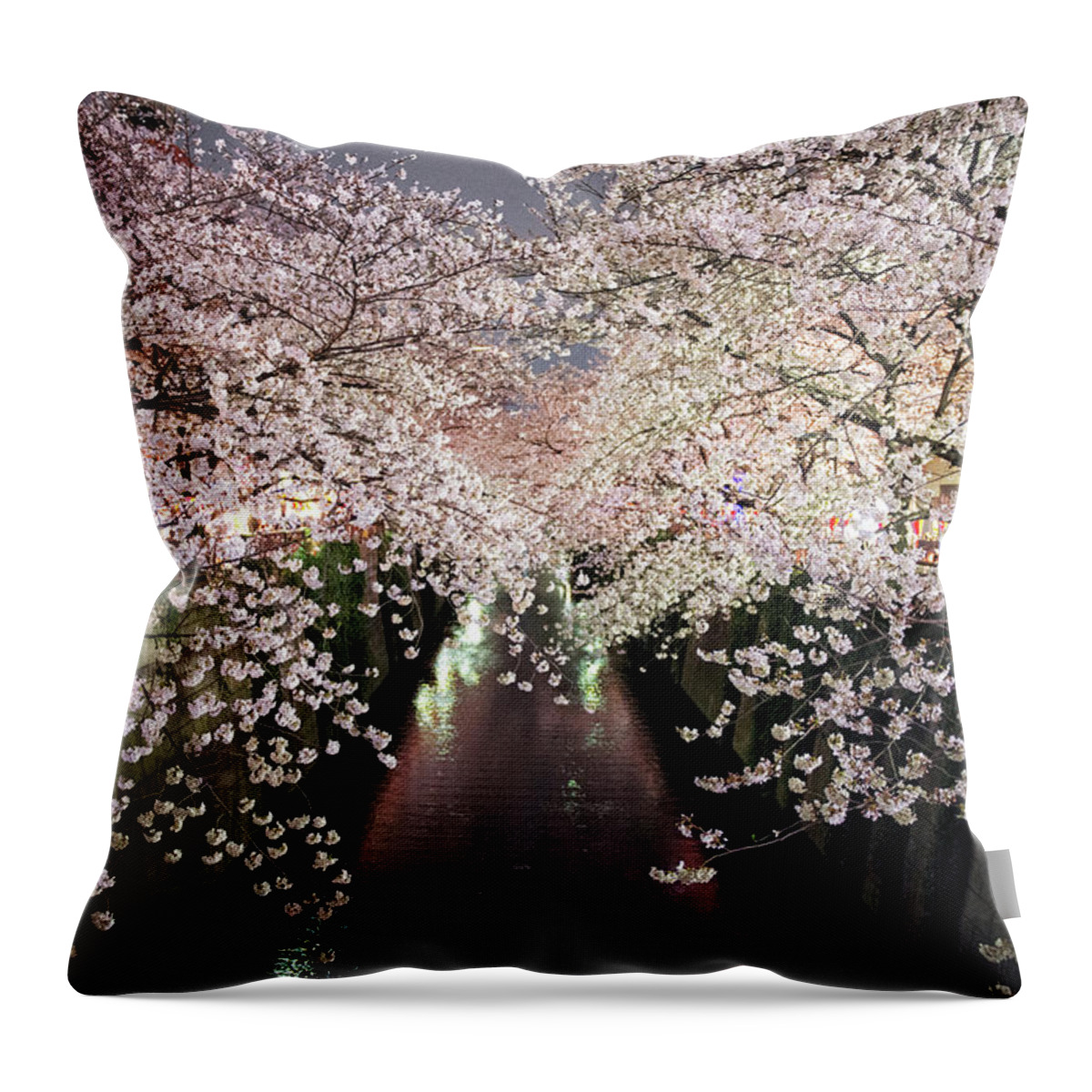 Outdoors Throw Pillow featuring the photograph Cherry Blossoms Trees Across The by By Cads