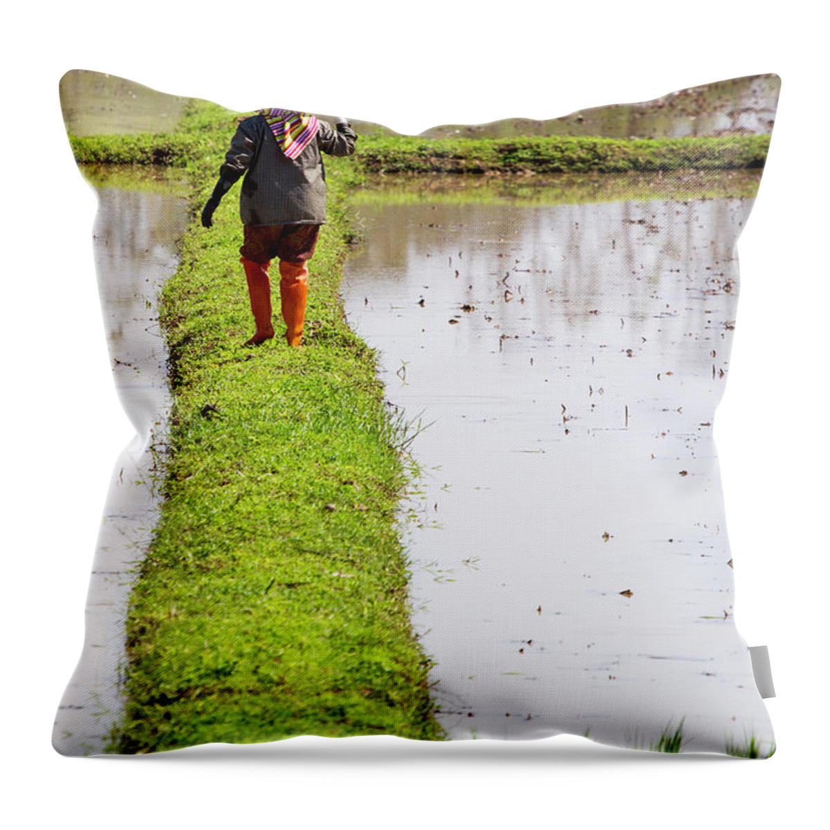 People Throw Pillow featuring the photograph Chiangrai_farmer On A Rice Field by Jean-claude Soboul