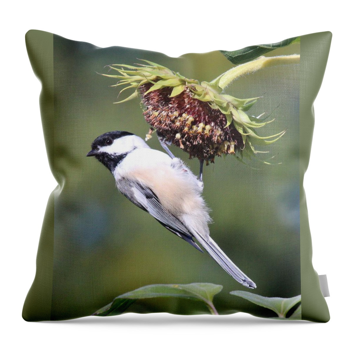 Chickadee Throw Pillow featuring the photograph Chickadee on Sunflower by Lucinda VanVleck